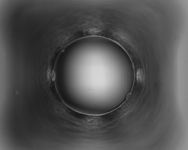 X0000088661299200705251514