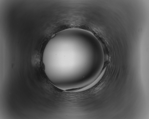 X0000088661300200705251514