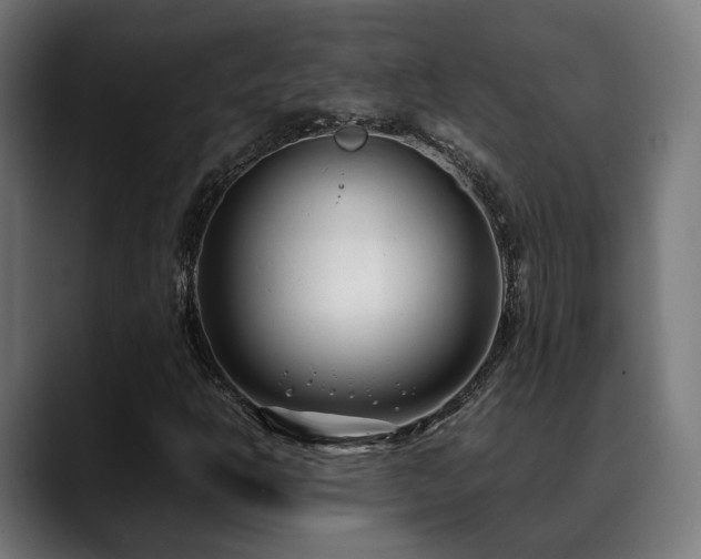 X0000088661302200705251514