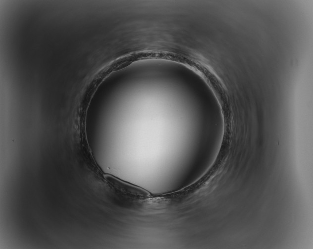 X0000088661304200705251514