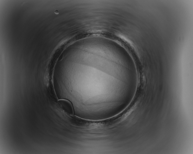 X0000088661306200705251514