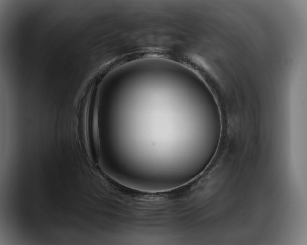 X0000088661307200705251514