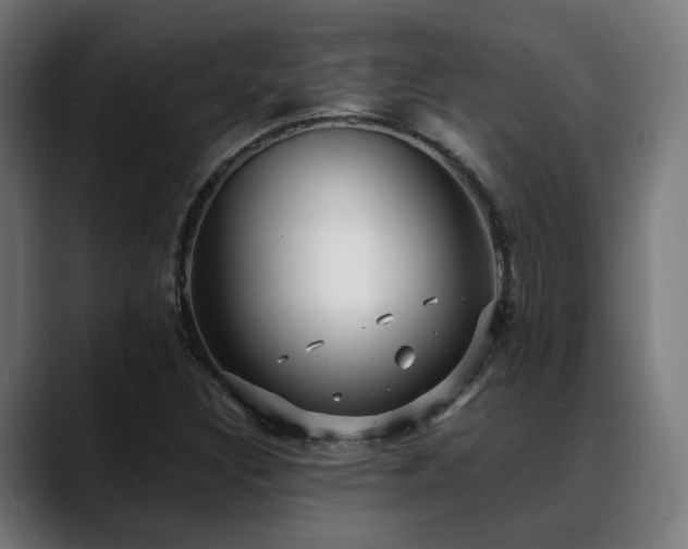 X0000088661308200705251514