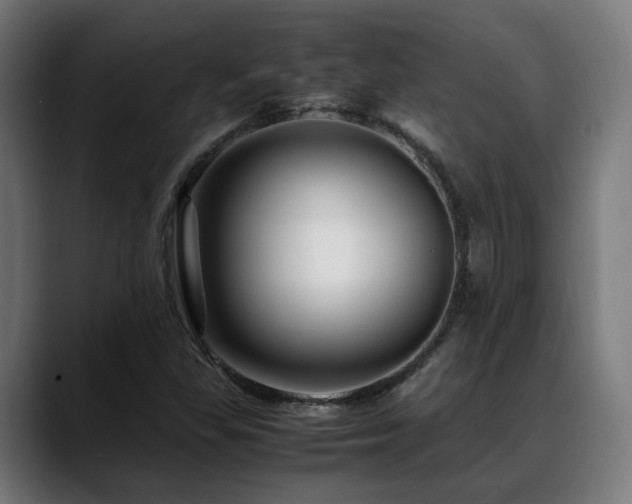 X0000088661309200705251514