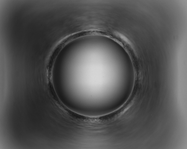 X0000088661310200705251514