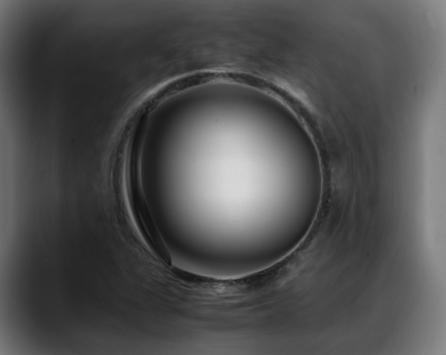 X0000088661311200705251514