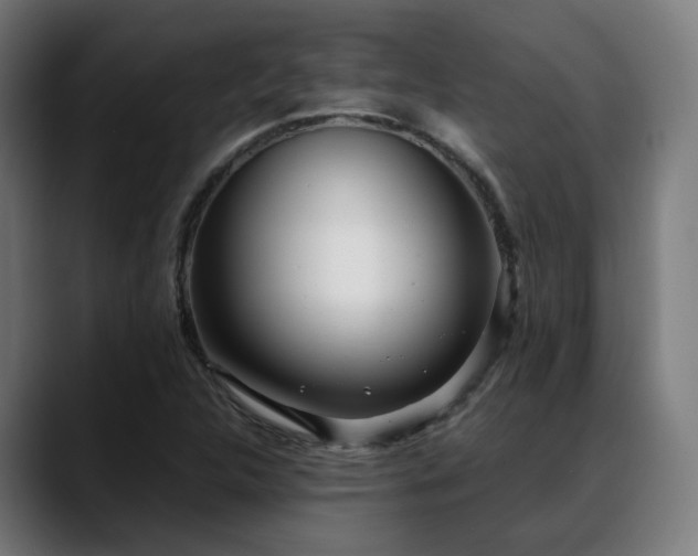 X0000088661312200705251514