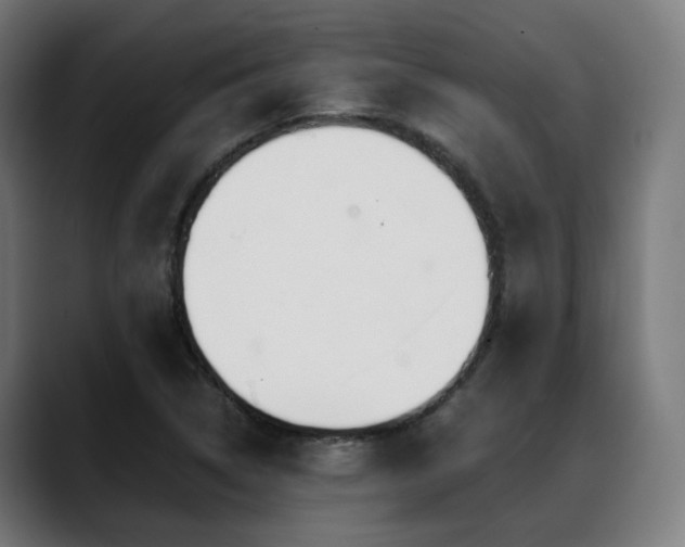 X0000088661314200705251514