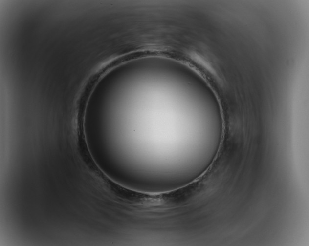 X0000088661315200705251514