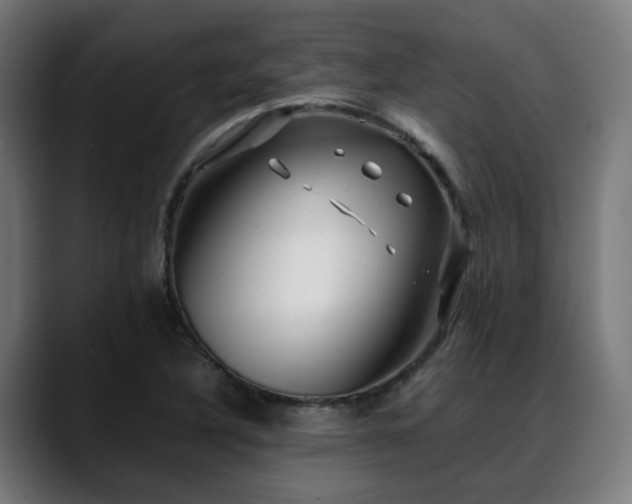 X0000088661316200705251514