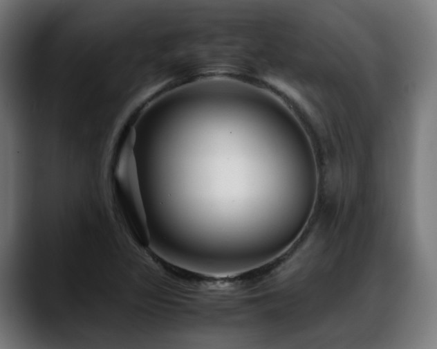 X0000088661317200705251514