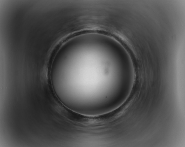 X0000088661318200705251514