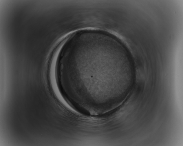 X0000088661319200705251514