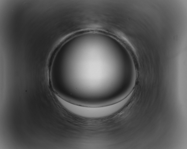 X0000088661320200705251514