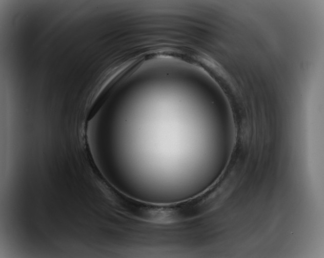 X0000088661321200705251514