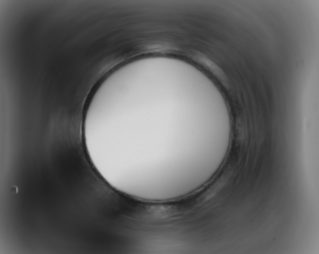 X0000088661322200705251514