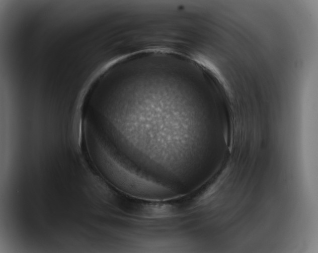 X0000088661323200705251514