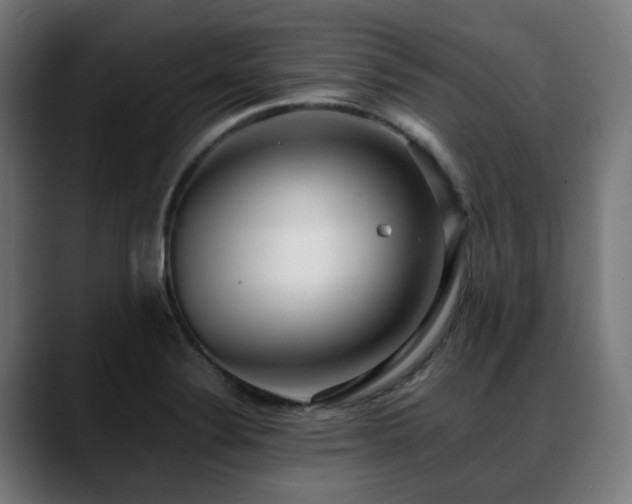 X0000088661324200705251514