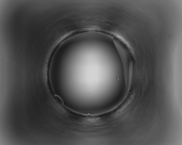 X0000088661325200705251514