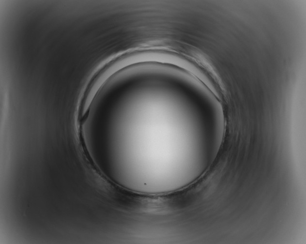 X0000088661328200705251514