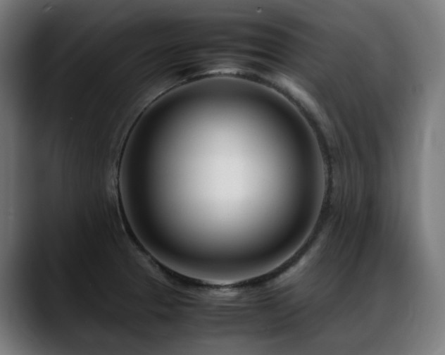 X0000088661329200705251514