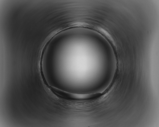 X0000088661330200705251514