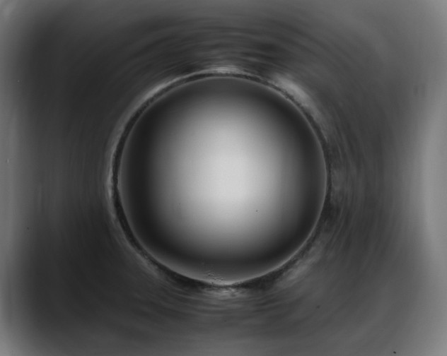 X0000088661331200705251514