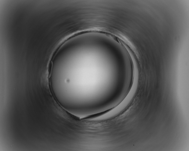 X0000088661332200705251514