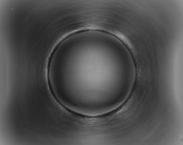 X0000088661334200705251514