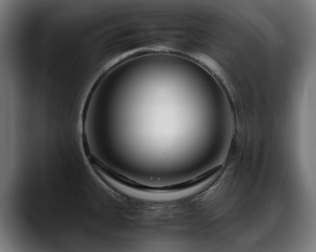 X0000088661335200705251514