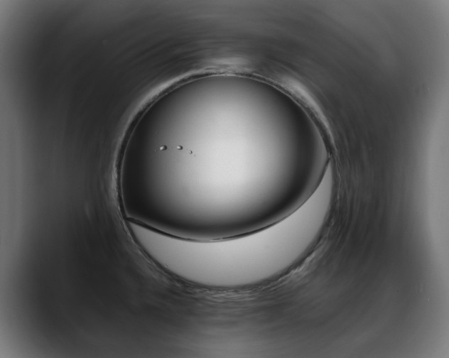 X0000088661336200705251514