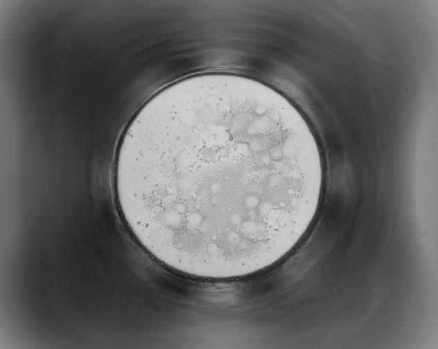 X0000088661338200705251514