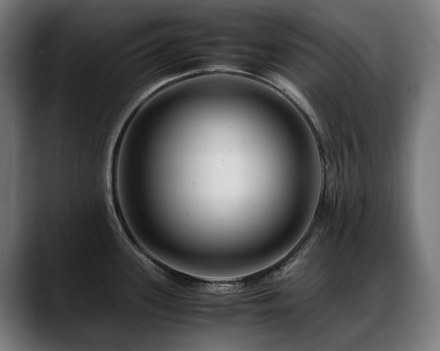 X0000088661339200705251514