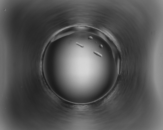 X0000088661340200705251514