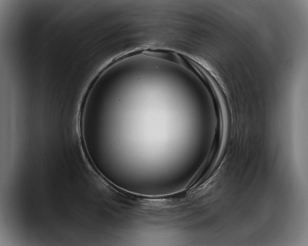 X0000088661342200705251514