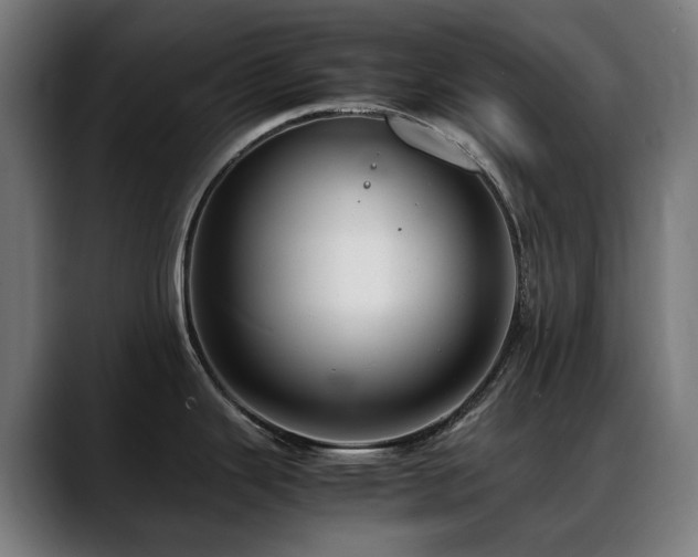 X0000088661343200705251514