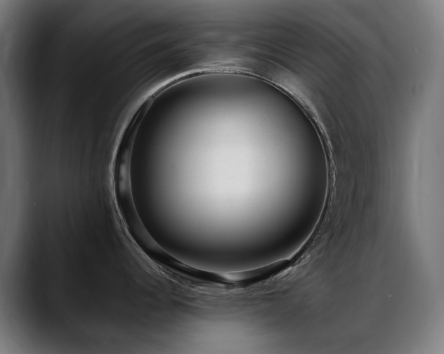 X0000088661344200705251514