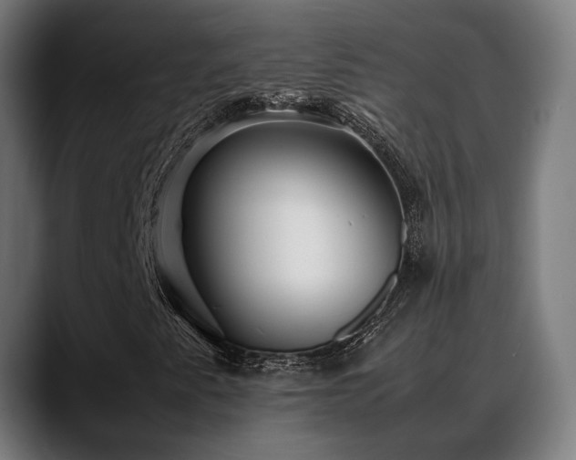 X0000088661345200705251514