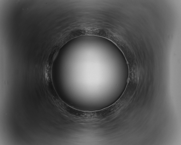 X0000088661346200705251514