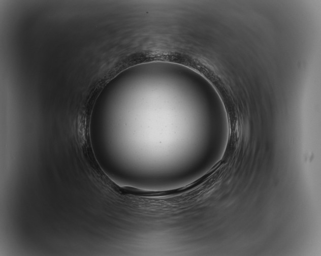 X0000088661348200705251514