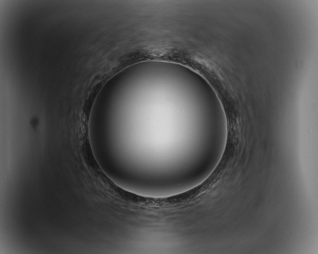 X0000088661349200705251514