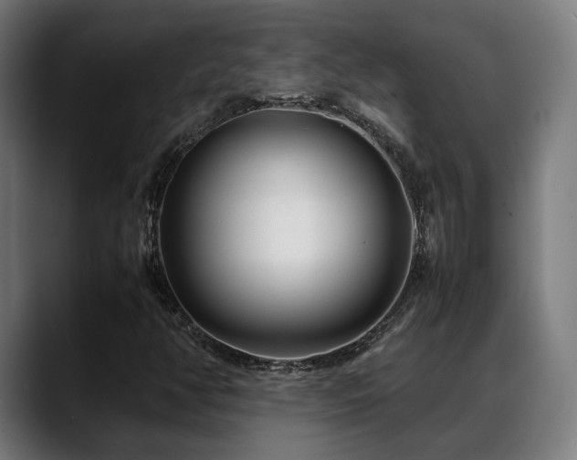 X0000088661350200705251514