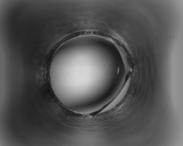 X0000088661352200705251514