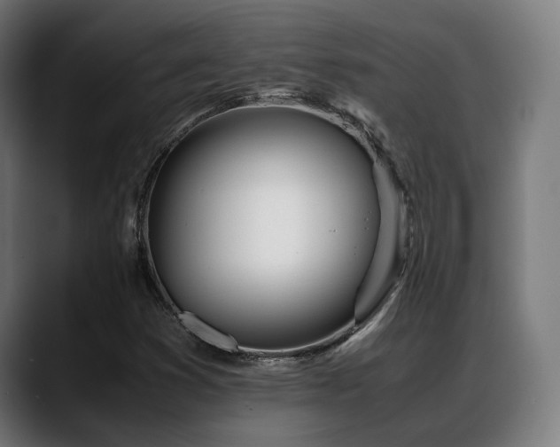 X0000088661353200705251514