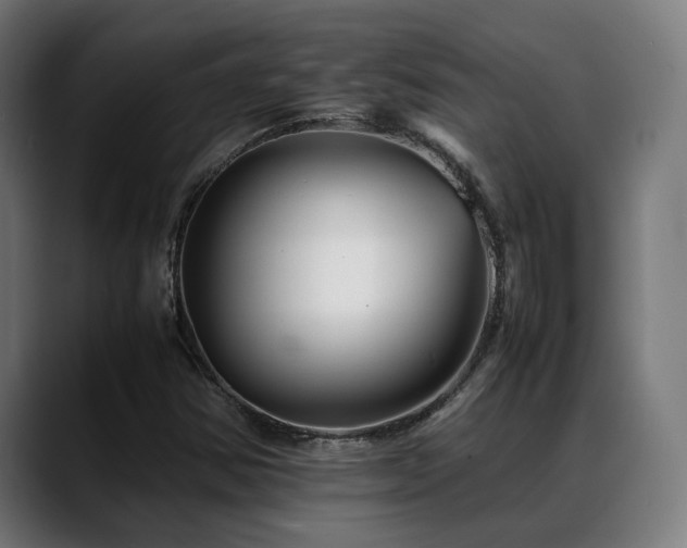 X0000088661354200705251514