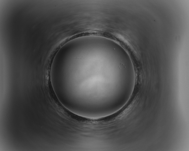 X0000088661355200705251514