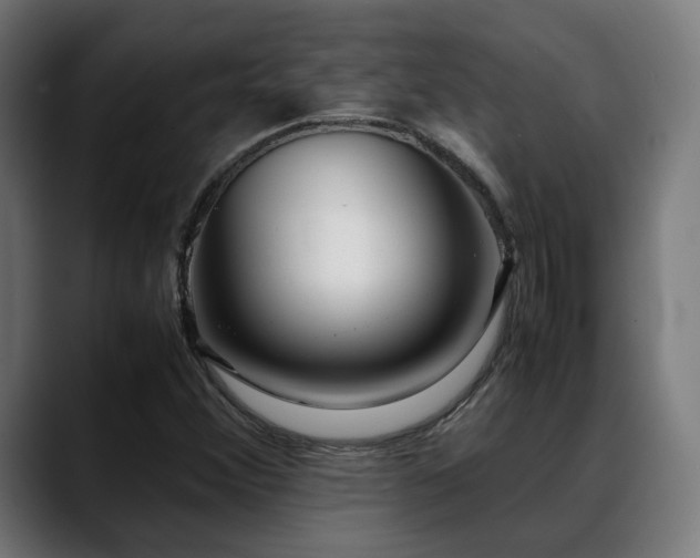 X0000088661356200705251514