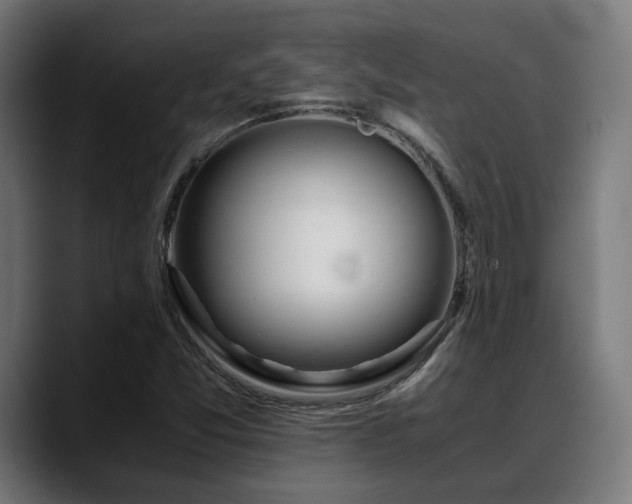 X0000088661357200705251514