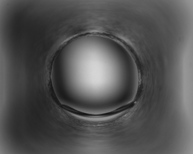 X0000088661359200705251514