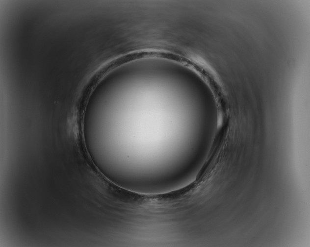 X0000088661360200705251514